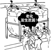 事例4：担心胶管接头部位老化而出现漏水现象……